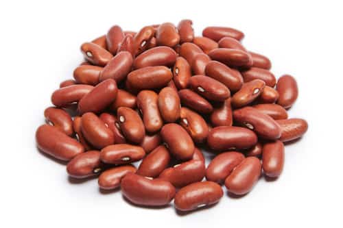 Michigan Light Red Kidney Beans