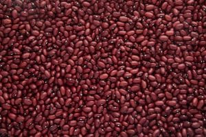 Michigan Small Red Beans