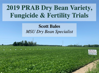 2019 PRAB Dry Bean Variety Fungicide & Fertility Trials