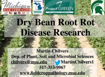 Dry Bean Root Rot Disease