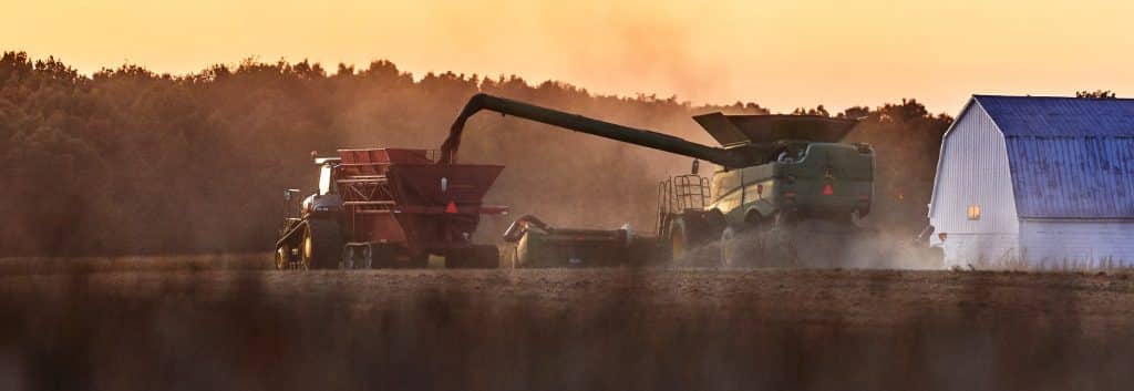 Tractor Harvesting Beans