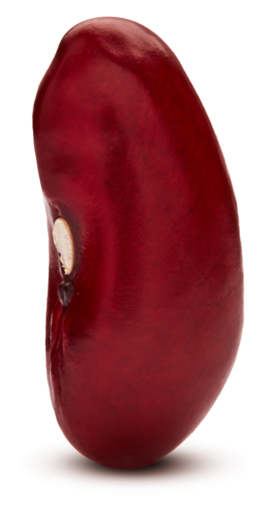 Michigan Dark Red Kidney Beans Michigan Beans