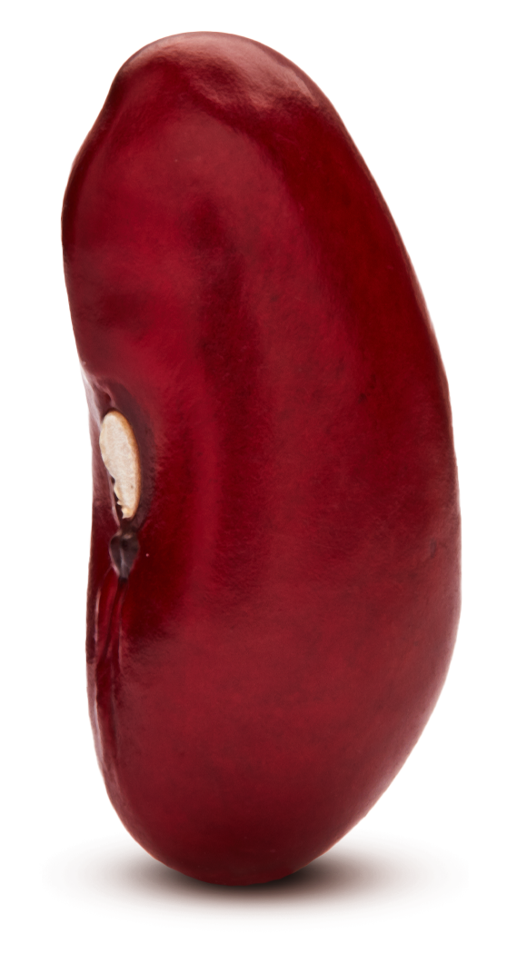 Michigan Dark Red Kidney Beans - Michigan Beans