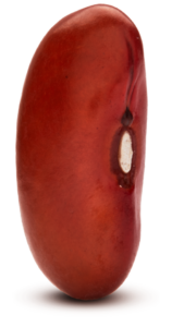 Light Red Kidney Bean